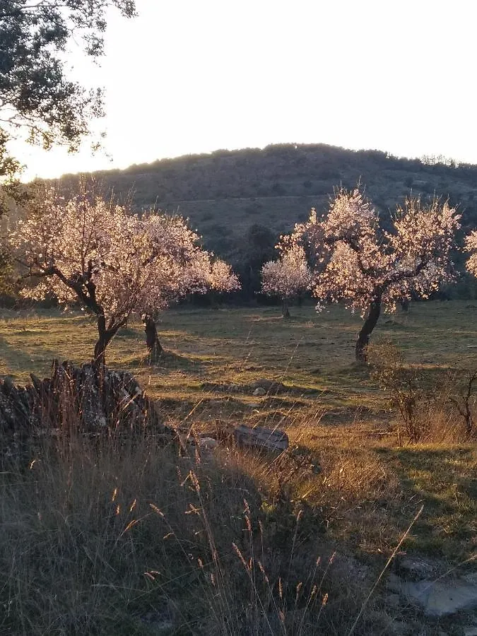 Holiday home Ca La Cisca Villa El Meull Spain